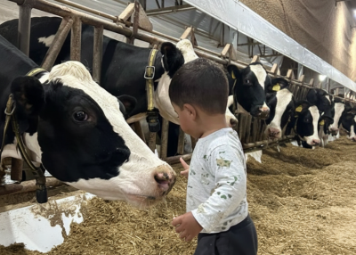 Boletim Novembro/Dezembro 2025