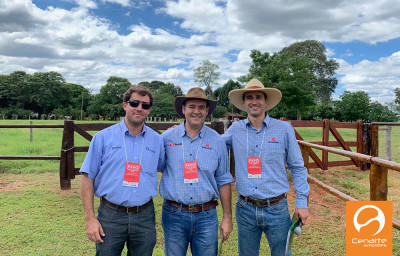 Papo de Fazenda reúne pecuaristas no Mato Grosso do Sul em busca de mais informações sobre o Programa Deltagen