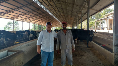 Com a utilização de FIV Fazenda Poço do Canário dobra resultados no campo