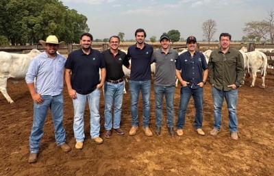 Semex, Nelore Marcondes e Cenatte: união de forças pela genética de excelência